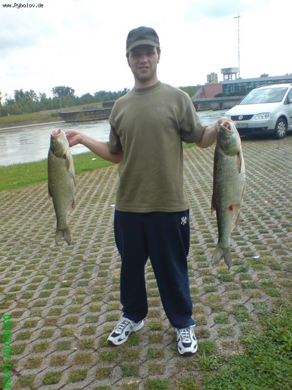 --moi drug i scherih - ������� (����������)