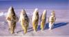 Fischparade -  ()