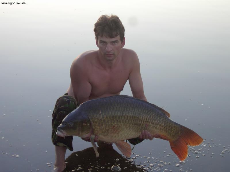 --������ �  ��������� �� 4  ��� . - ������� (����������)