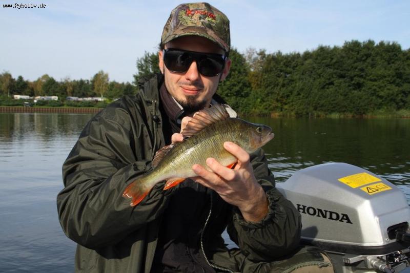 --����������� ��������� - ������� (����������)