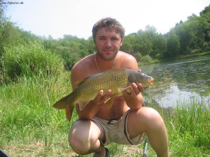 --������ �������� ����� ���� - ������� (����������)