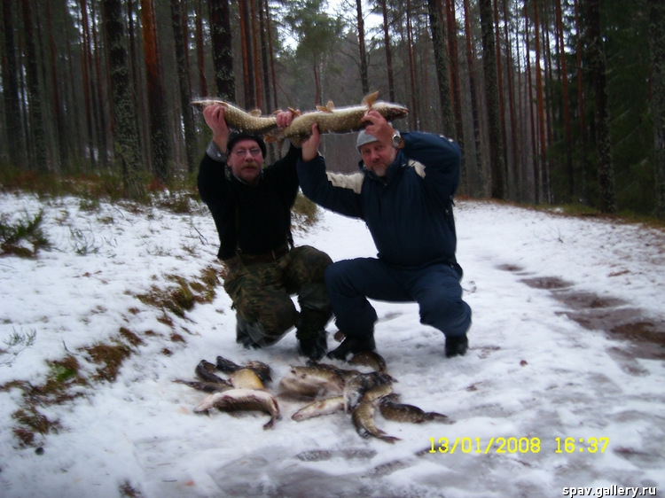 --��� ����! - ������� (����������)