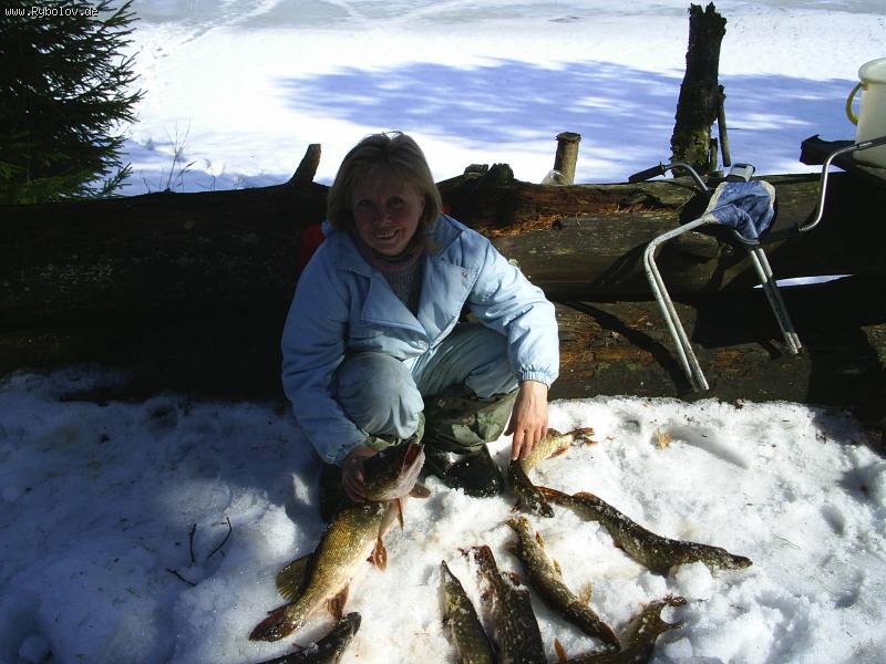 --���� - ������� (����������)