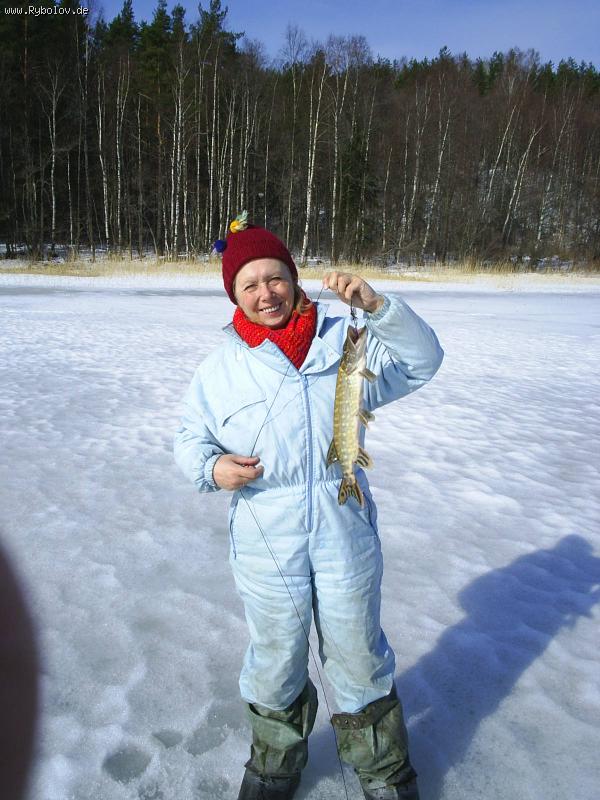 --�������! - ������� (����������)