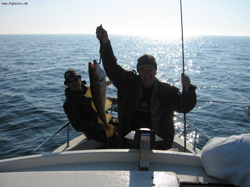 --������ - ������� (����������)