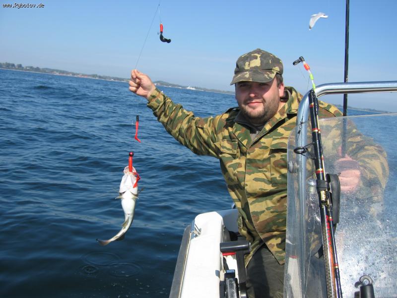 --треска - рыбалка (фотоальбом)