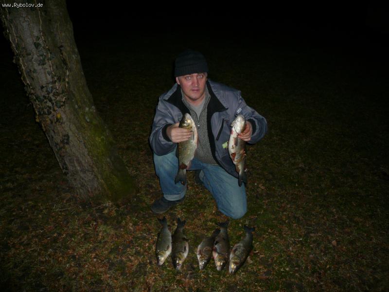 --Nekar - ������� (����������)