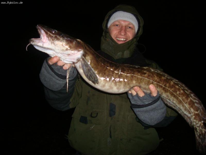 --����� - ������� (����������)