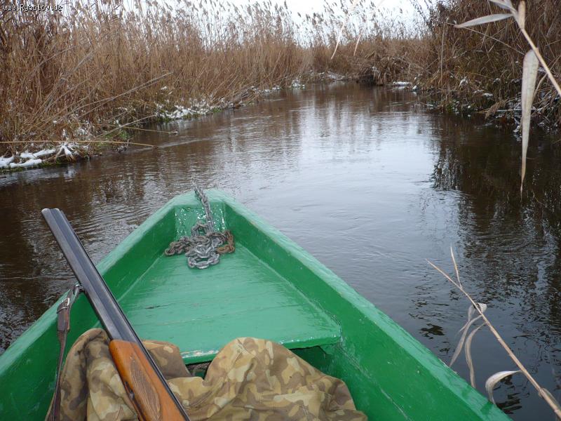 --�� ������� ����� �������� - ������� (����������)