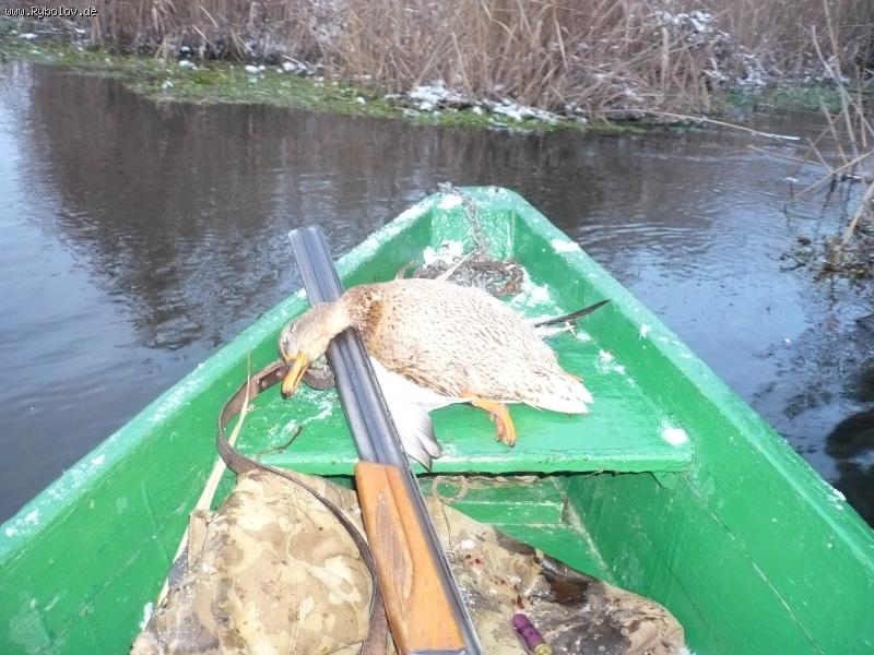 --������ ������ - ������� (����������)