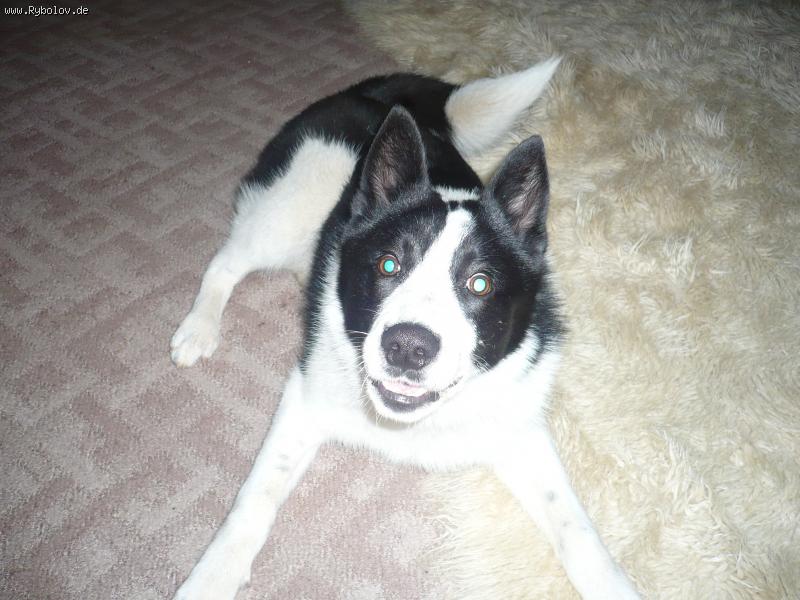 --Друг - рыбалка (фотоальбом)