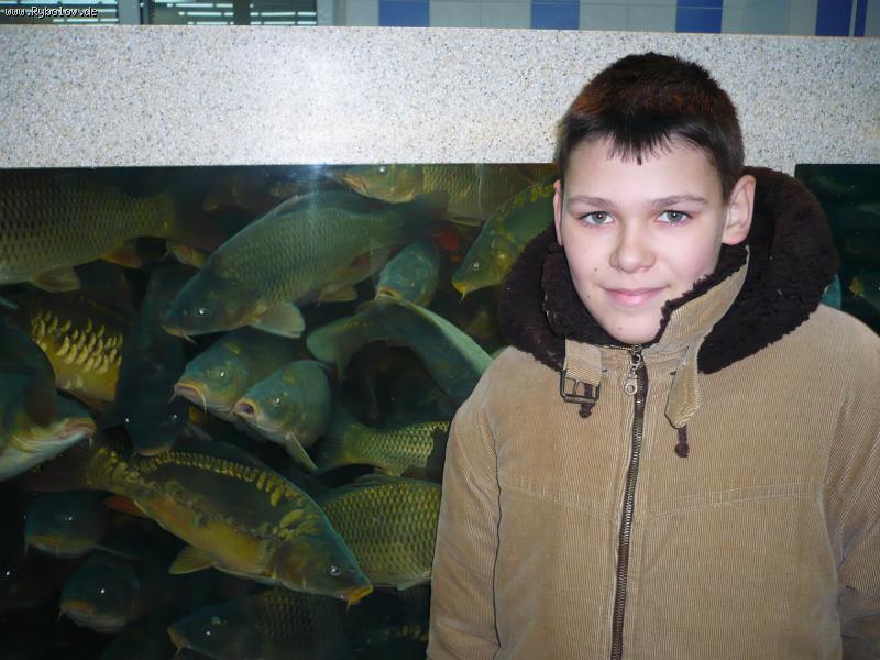 --� �������� - ������� (����������)