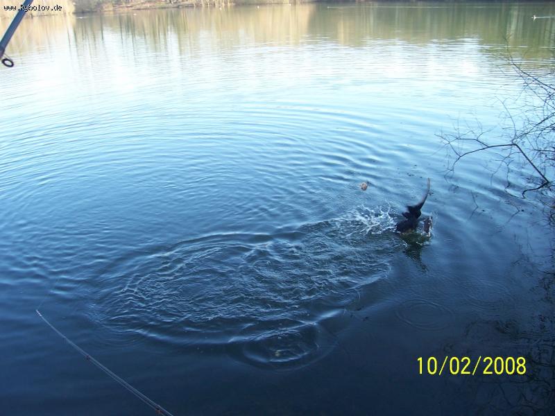 --"����" - ������� (����������)