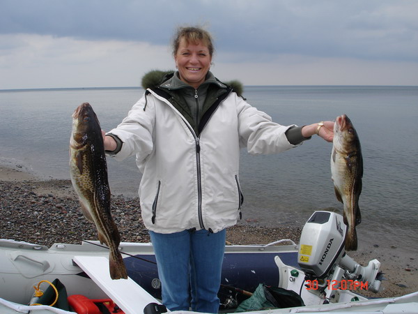 --���������� ���� - ������� (����������)