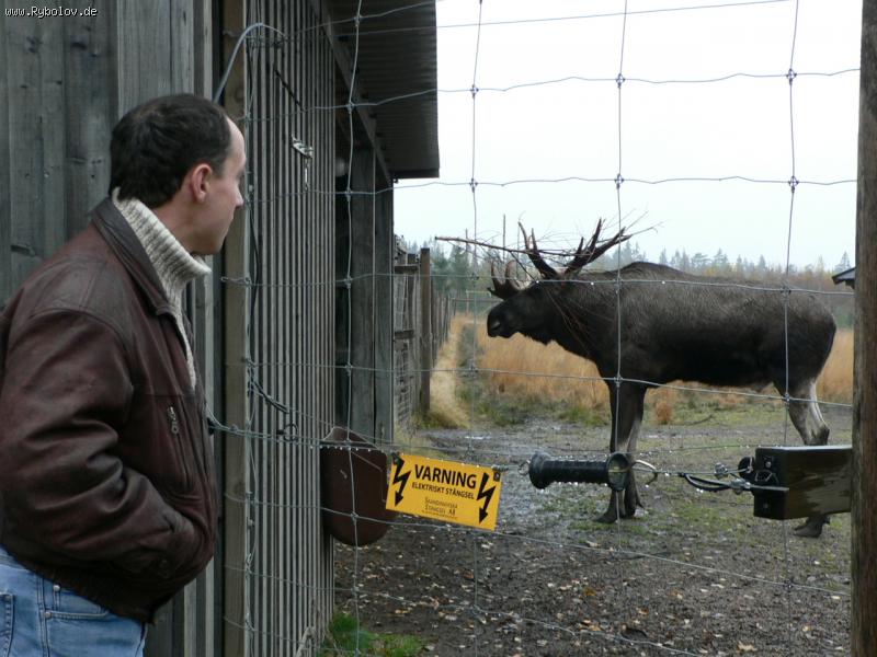 --Schweden 2007 - рыбалка (фотоальбом)