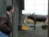Schweden 2007 - рыбалка (фотоальбом)