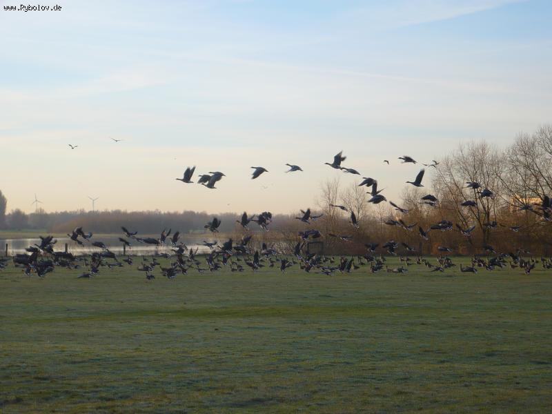 --���� - ������� (����������)