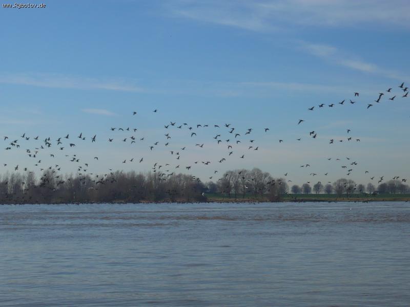 --�� ���� ����� - ������� (����������)