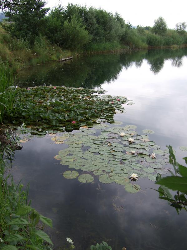 --������ �� ���� - ������� (����������)