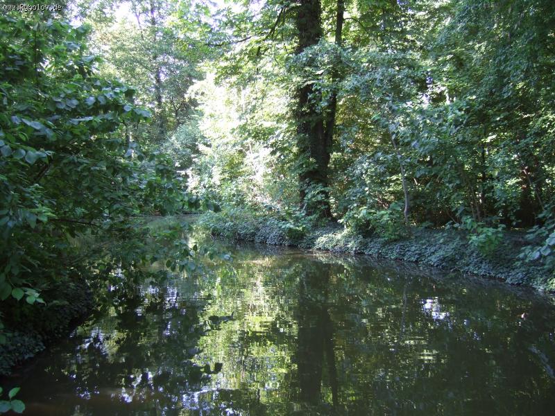 --� ����� ����� ��� ���� ����������� - ������� (����������)