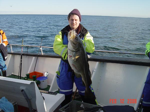 --Dorsch - ������� (����������)