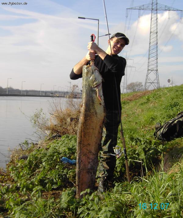 --������ ����� - ������� (����������)