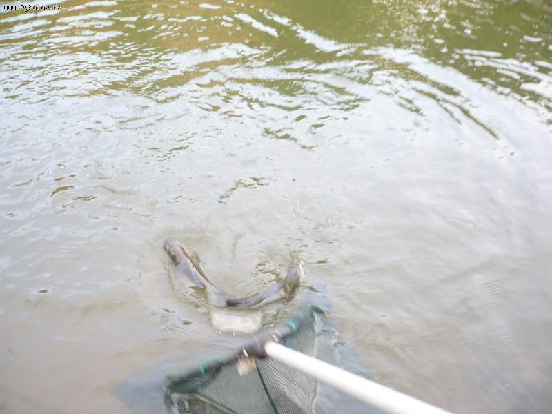 --������ - ������� (����������)