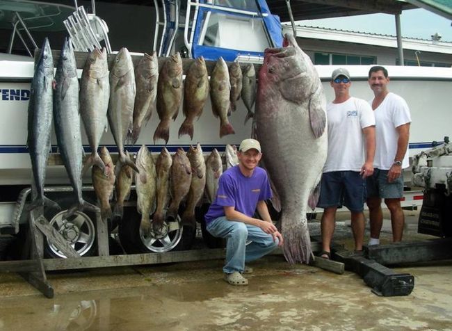--Fish_1 -  ()