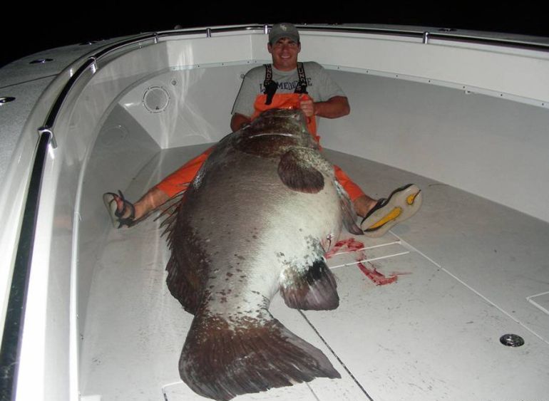 --Fish_2 - ������� (����������)