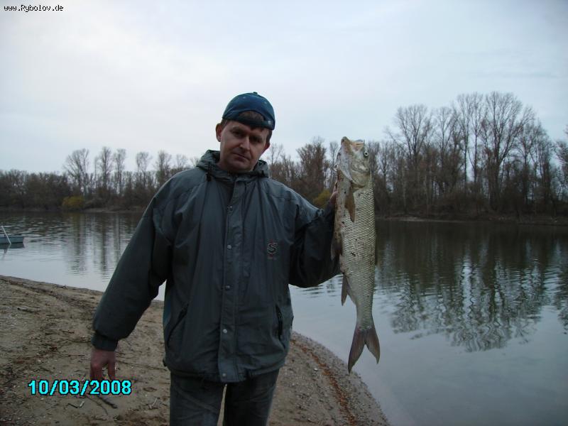 --�������� ������ - ������� (����������)