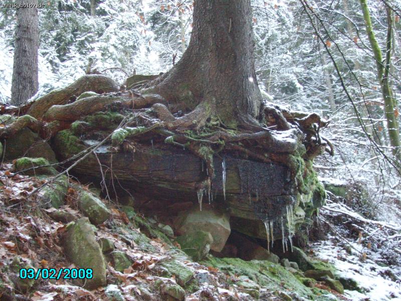 --"� �� ������ ������ �������" - ������� (����������)