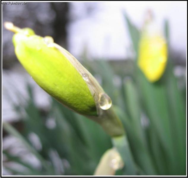 --�� ��������� ������� - ������� (����������)