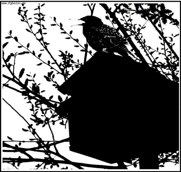 --�� ��������� ������� - ������� (����������)