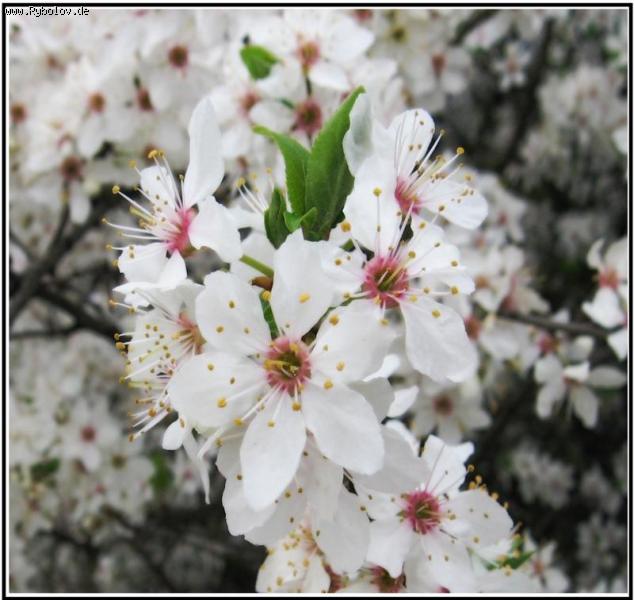 --Из весеннего альбома - рыбалка (фотоальбом)