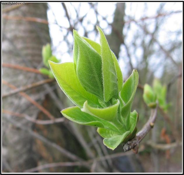 --�� ��������� ������� - ������� (����������)