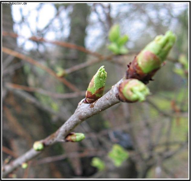 --�� ��������� ������� - ������� (����������)