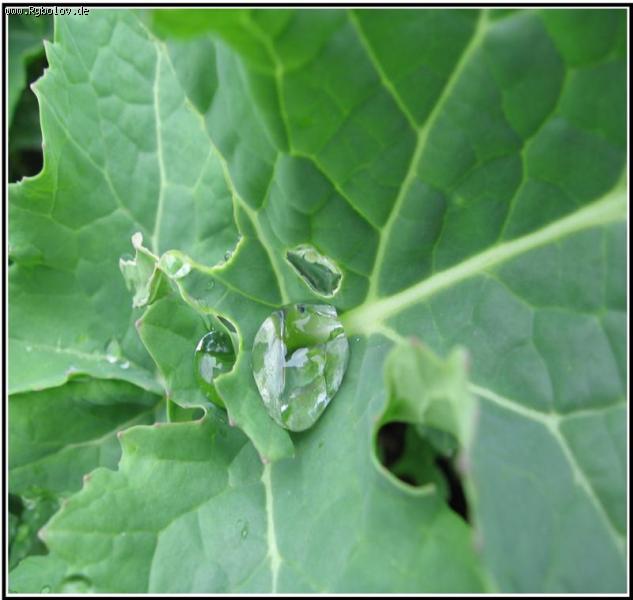 --�� ��������� ������� - ������� (����������)