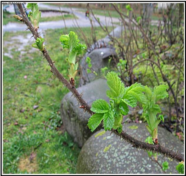 --Из весеннего альбома - рыбалка (фотоальбом)