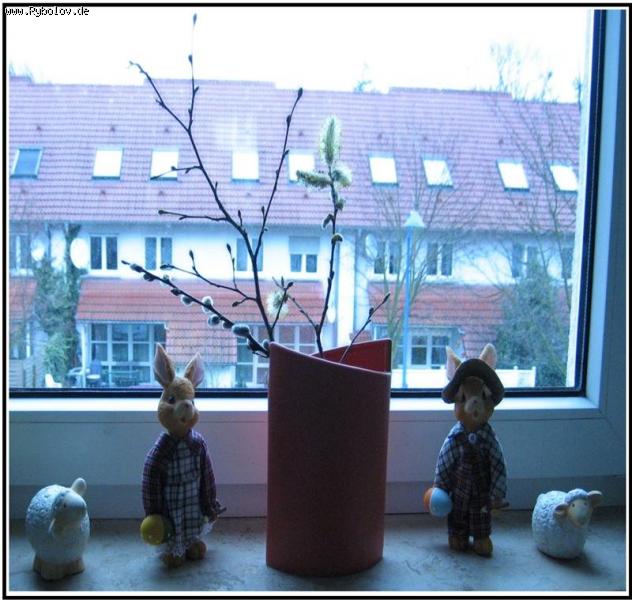 --�� ��������� ������� - ������� (����������)