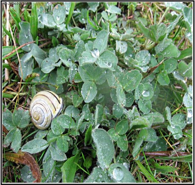 --�� ��������� ������� - ������� (����������)