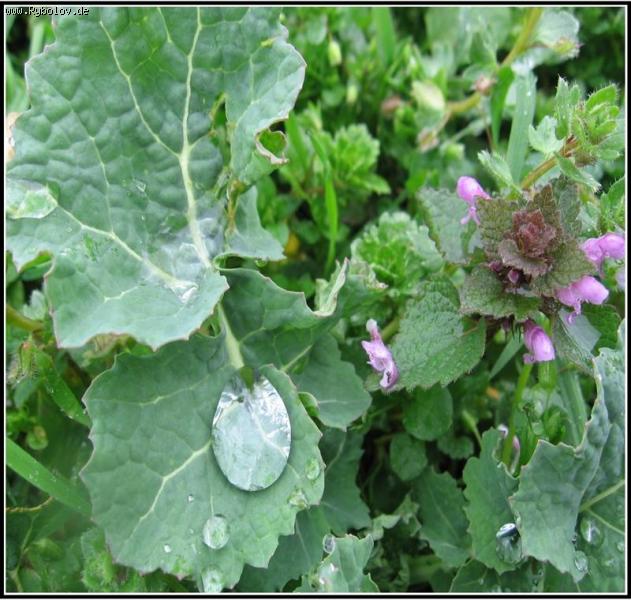 --Из весеннего альбома - рыбалка (фотоальбом)