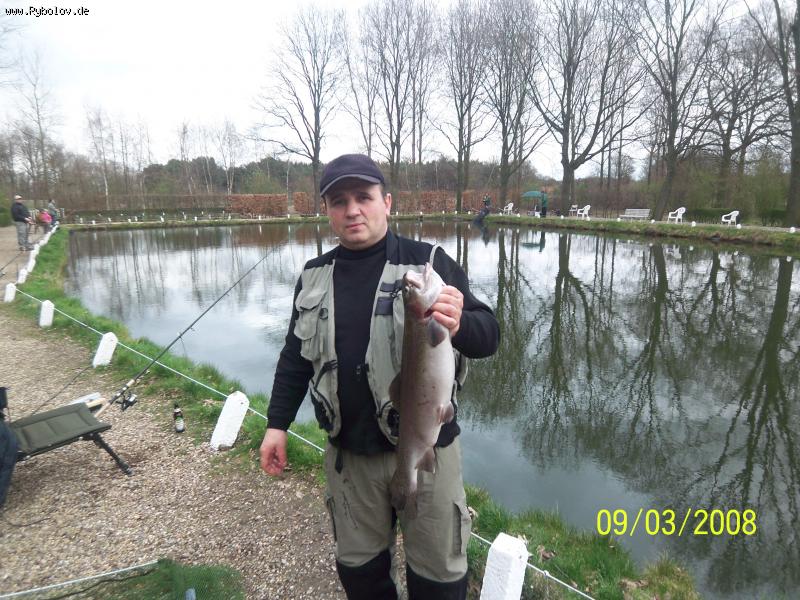 --Lachs -  ()