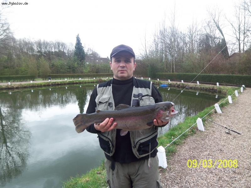 --Lachs -  ()