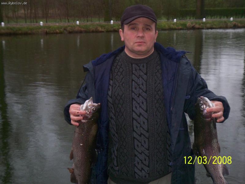 --Lachs -  ()