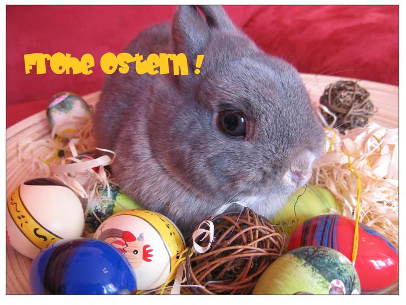 --Frohe Ostern! A German Easter! -  ()