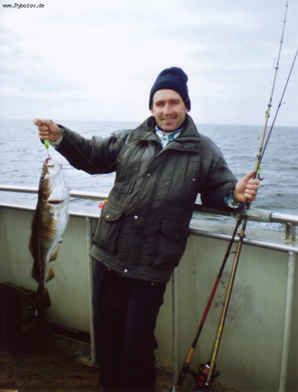 --Dorsch. - ������� (����������)