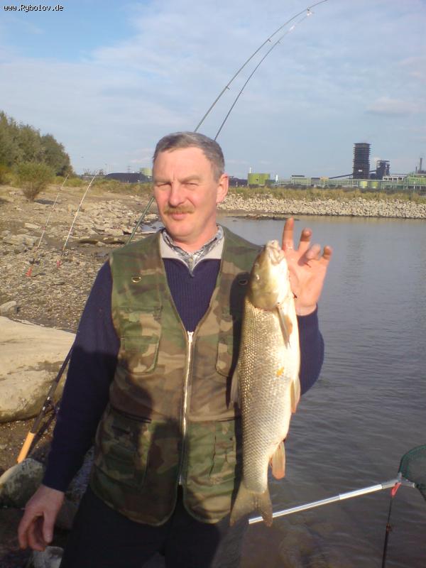 --�����. - ������� (����������)