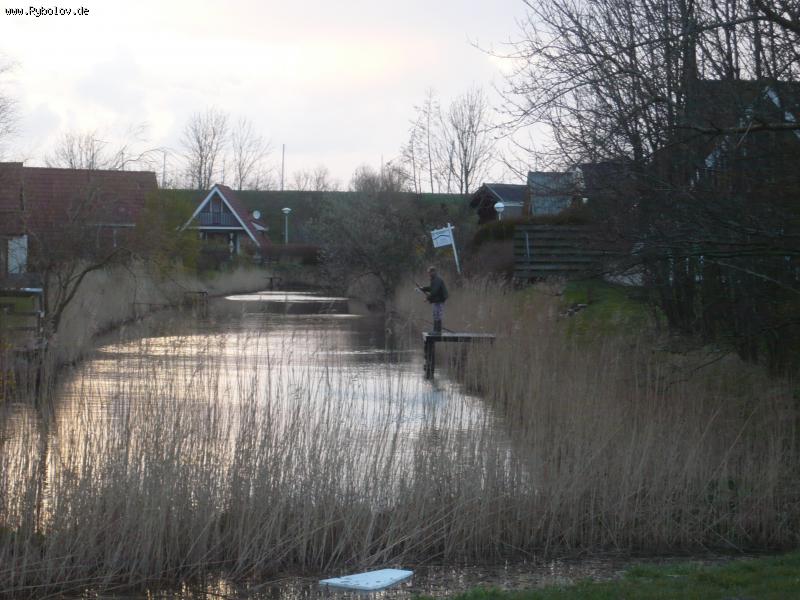 --���������. ��������� ������� �� ����� ������ - ������� (����������)