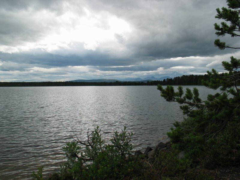 --������ ������ - ������� (����������)