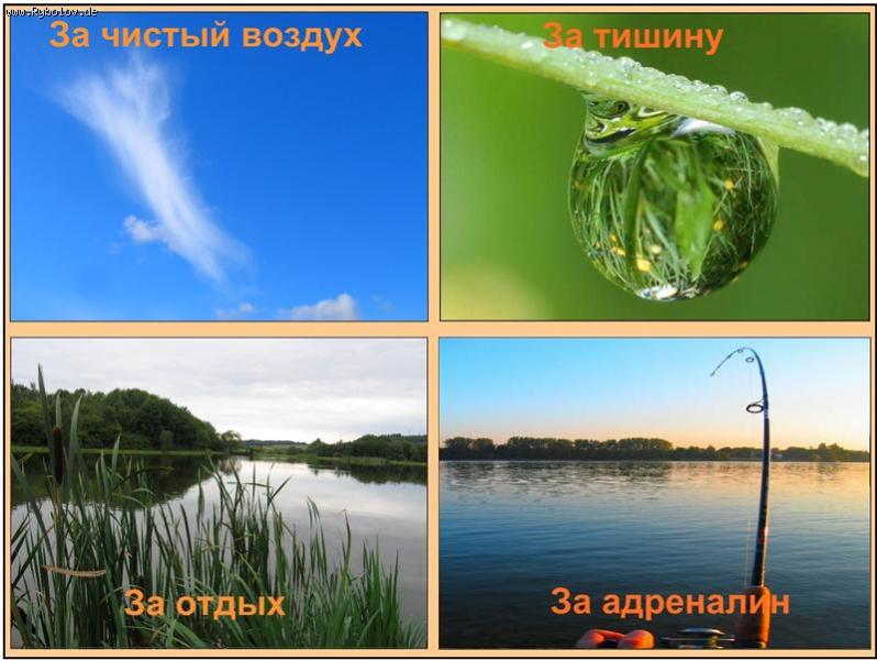 --�� ��� �� ����� ������� ? - ������� (����������)